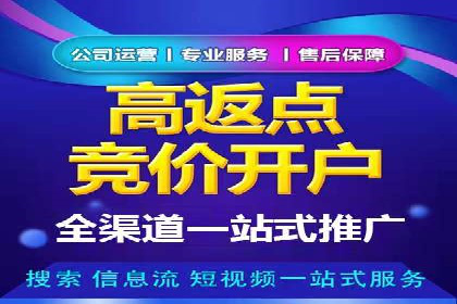 竞价开户推广案例市场分析